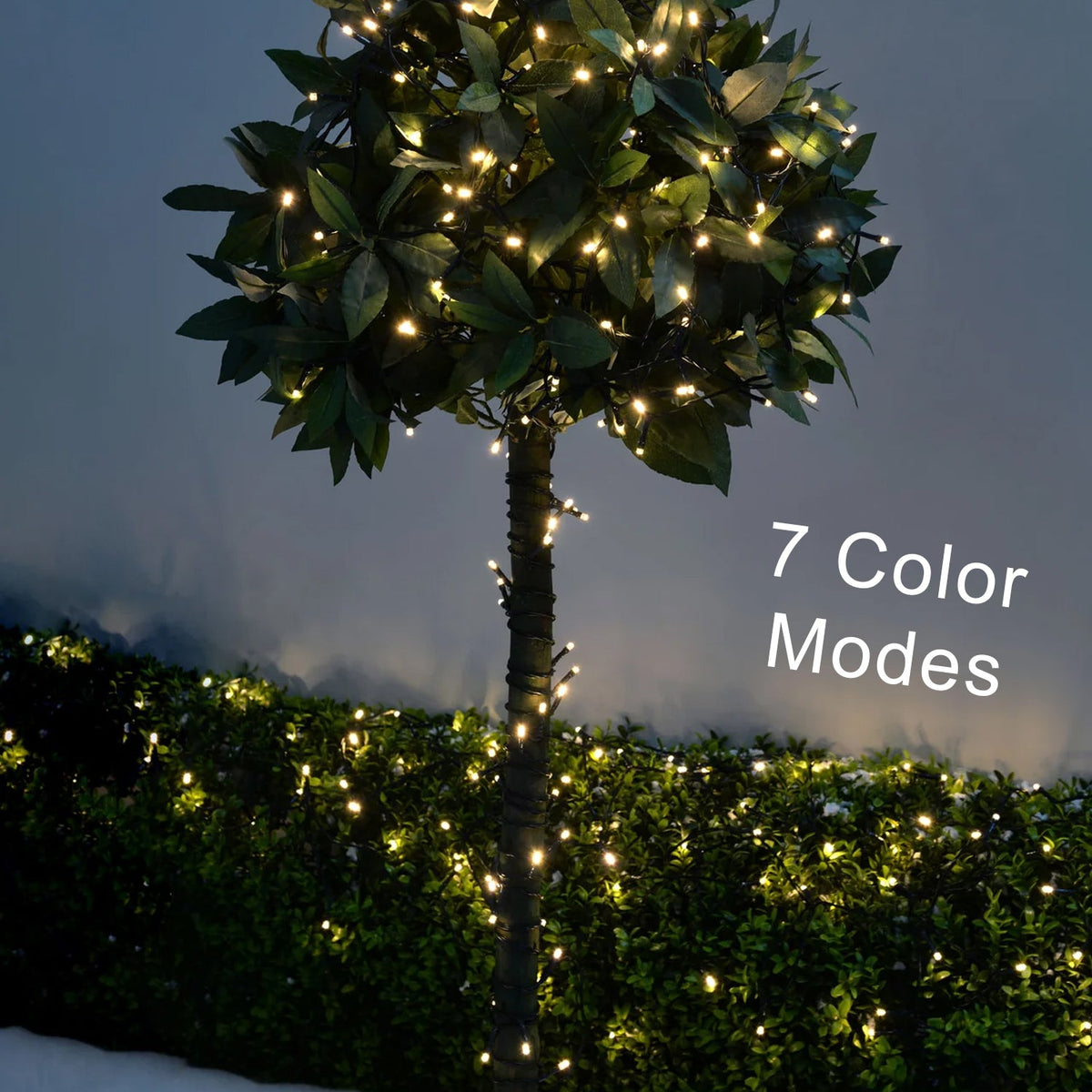 Detailed view of flower-shaped multi-color LED string lights.